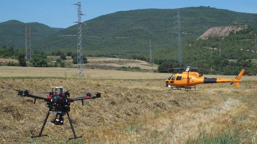 Endesa destina 3,2 milions al pla d´estiu de protecció dels boscos