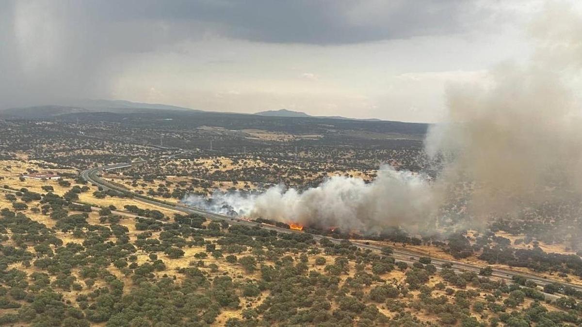 Incendio forestal registrado la semana pasada.