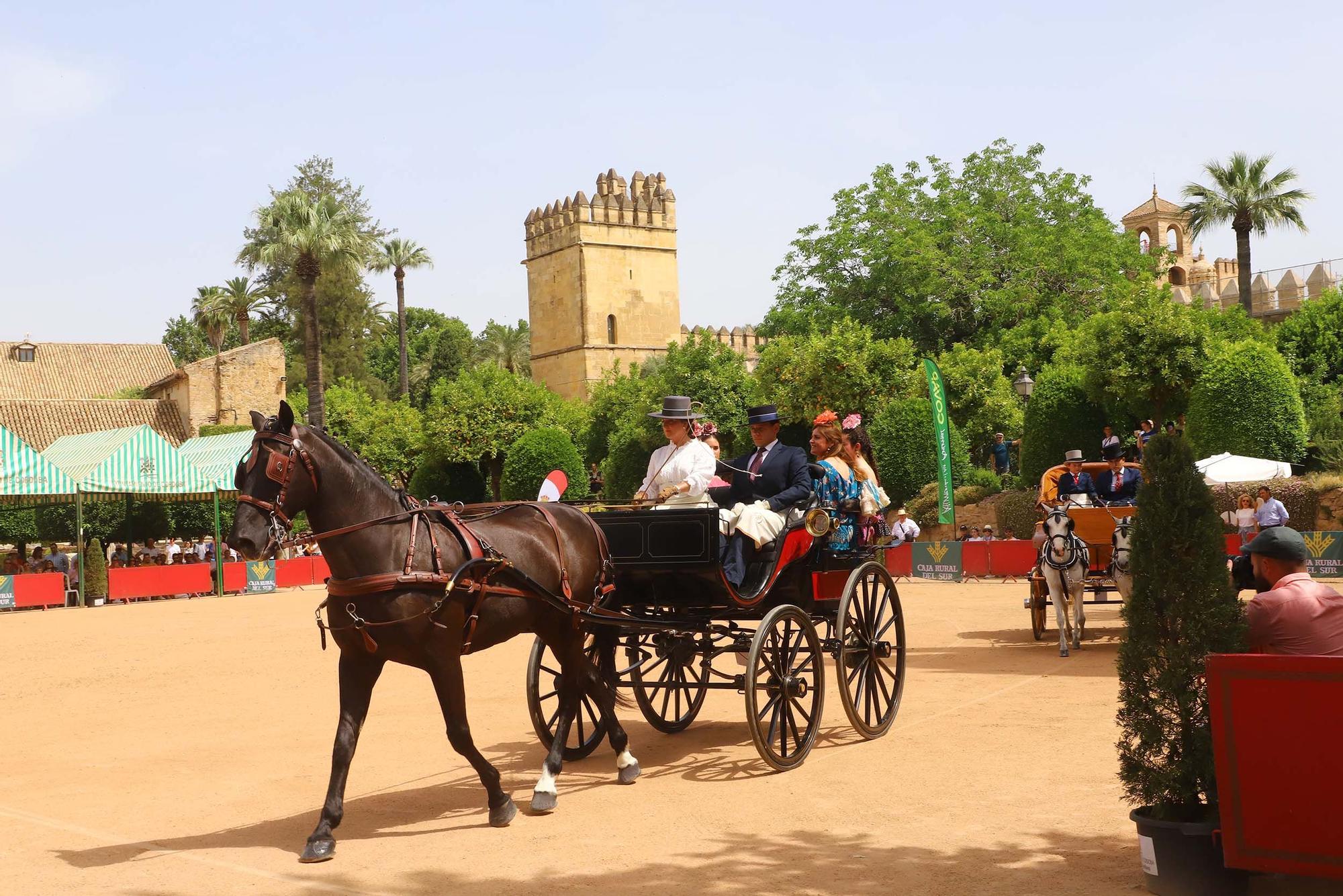 Una treintena de carruajes exhiben calidad y tradición en la Feria