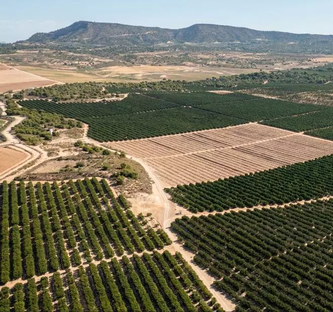 El 3,4% del regadío ilegal del Mar Menor vuelve a su estado original