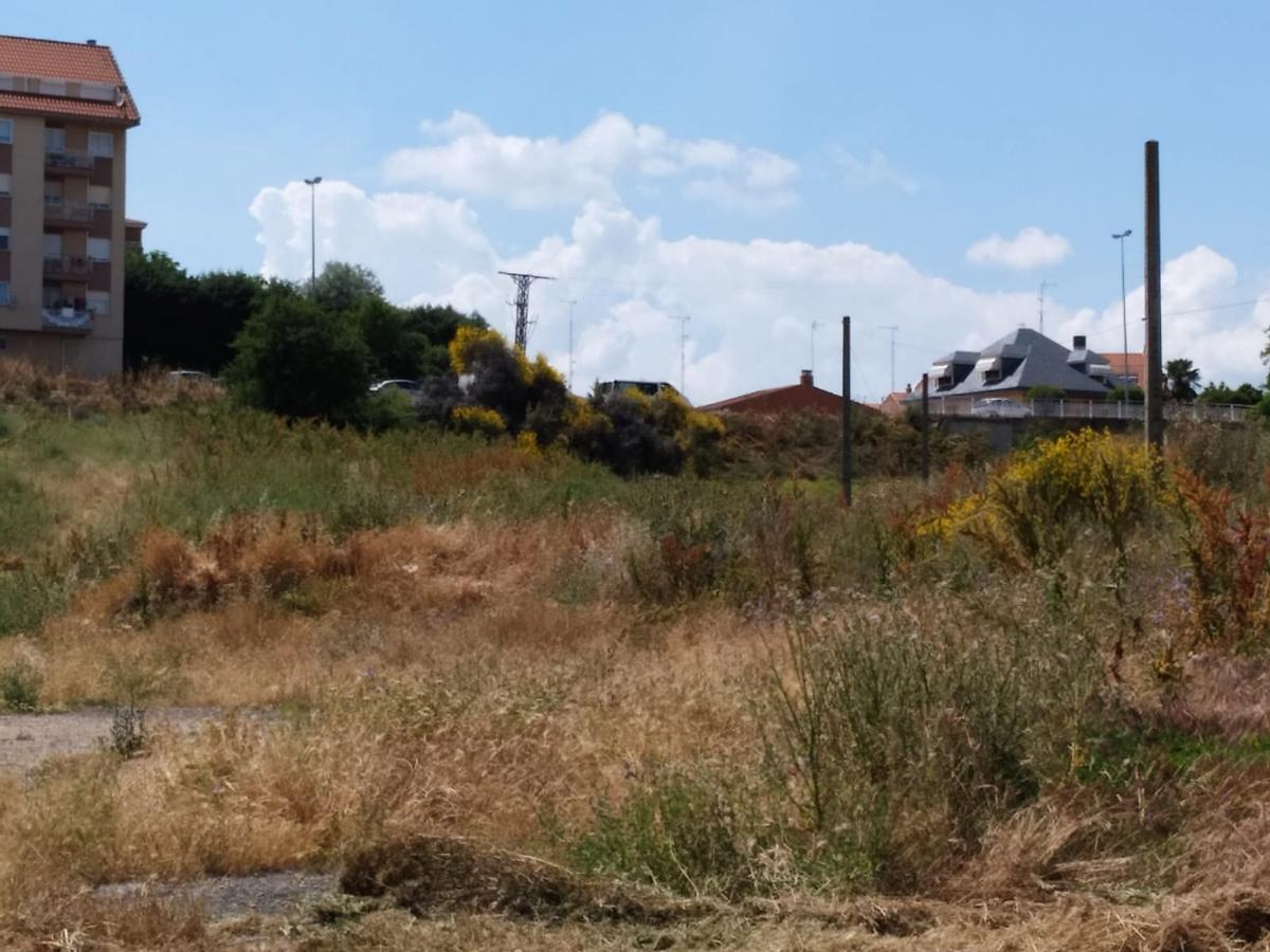Un solar de Benavente sin limpiar.