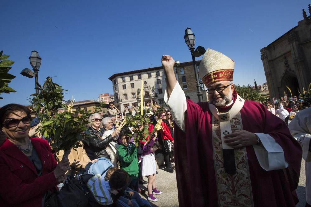 Bendición de ramos en la plaza de la Catedral