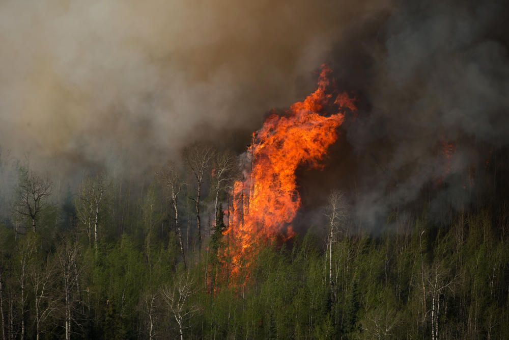 El incendio registrado en la localidad canadiense de Fort McMurray, en el estado de Alberta, ha destruido miles de hectáreas y de viviendas.