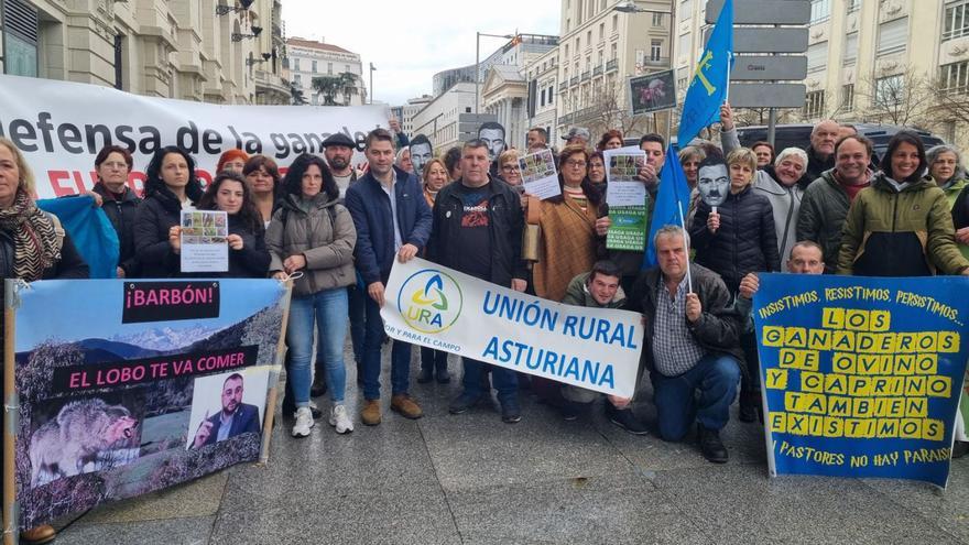 "Victoria histórica" para los ganaderos asturianos: el Congreso saca al lobo de las especies protegidas gracias a estos partidos