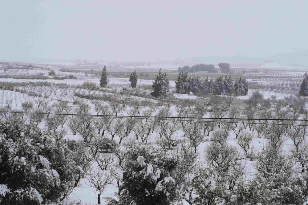 Nieve en Coy, Lorca