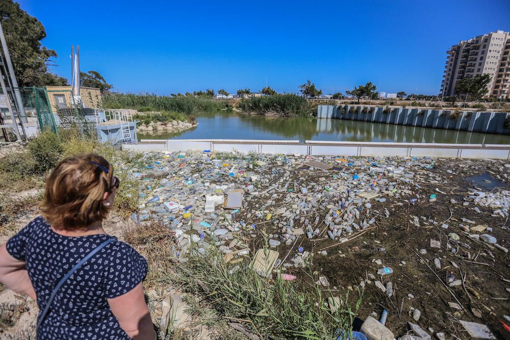 Aspecto que presenta ahora la desembocadura del Segura con miles de plásticos flotantes