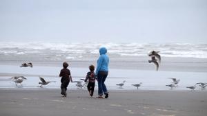 Familia paseando por la playa