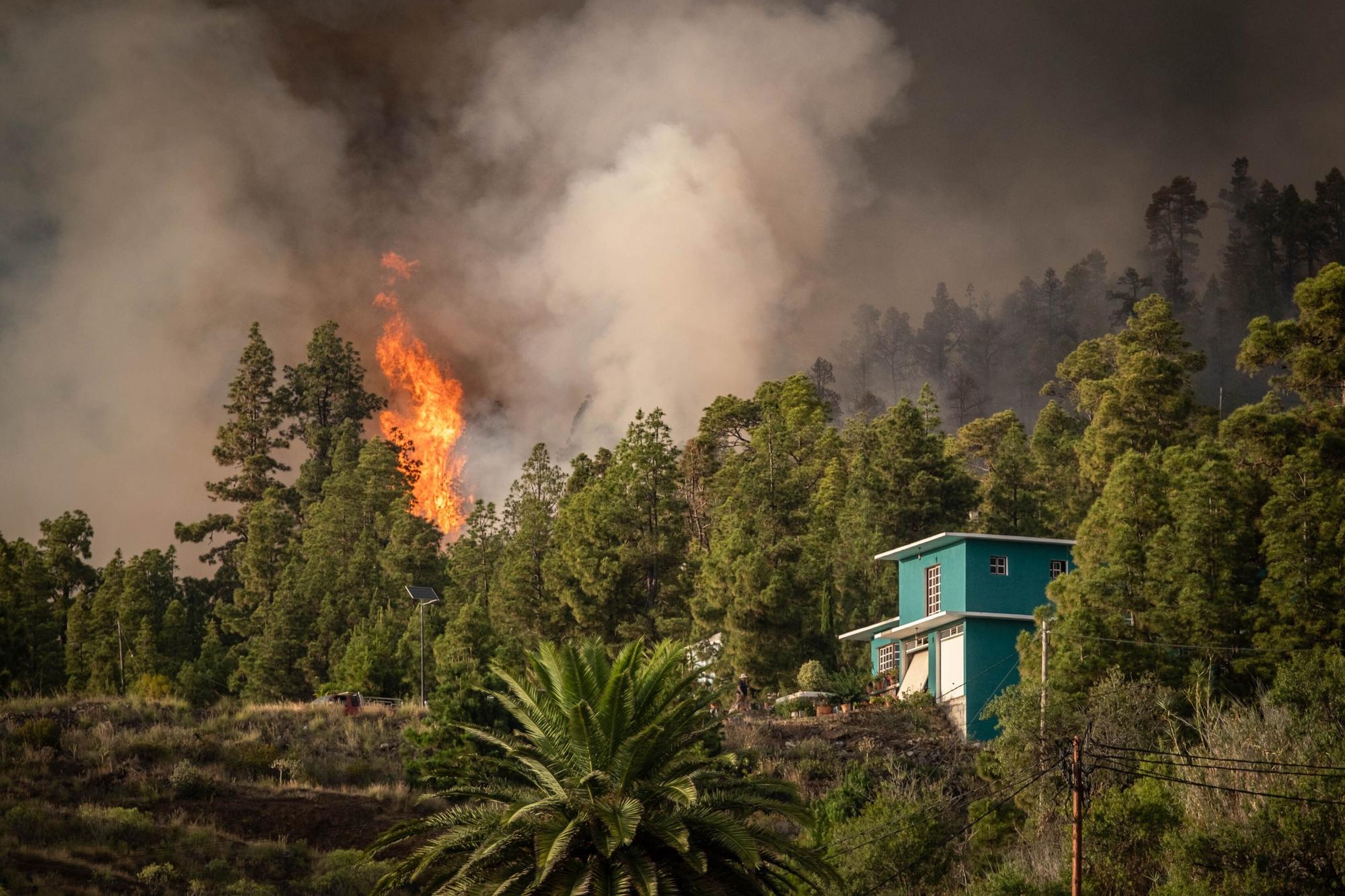 Los recursos de emergencia trabajan en el incendio forestal de La Palma