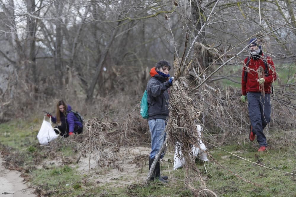 Recollida de residus a la llera del Ter a Girona