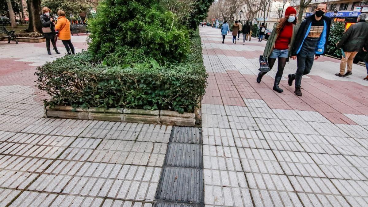 La Otaex dice que la obra de Cánovas es accesible