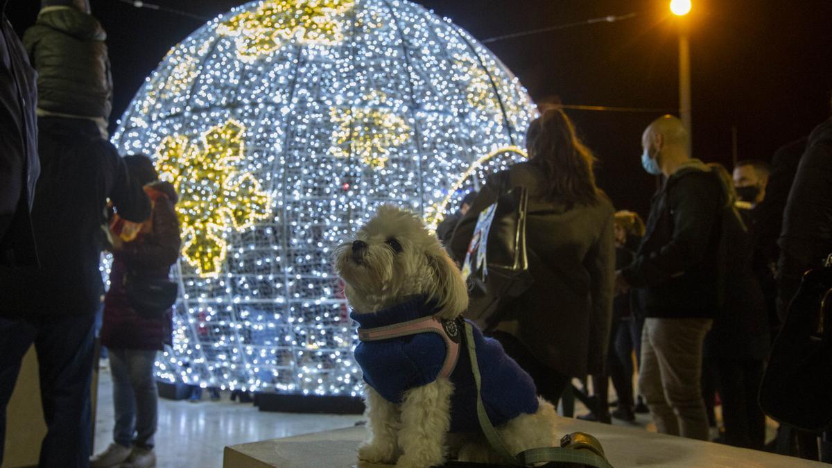 La iluminación navideña ya luce en Alicante con dos millones de leds