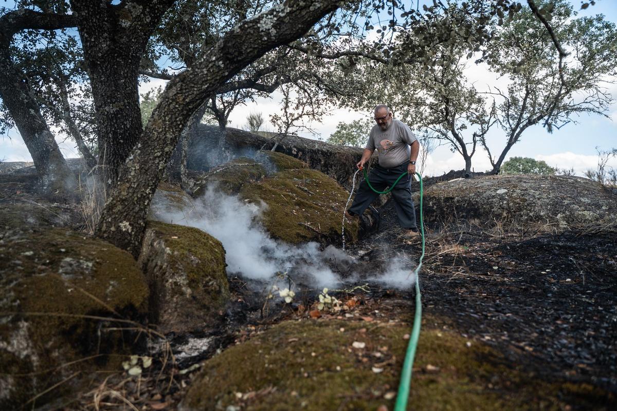 Galería | Las Viñas de Arroyo de la Luz, el día después del incendio