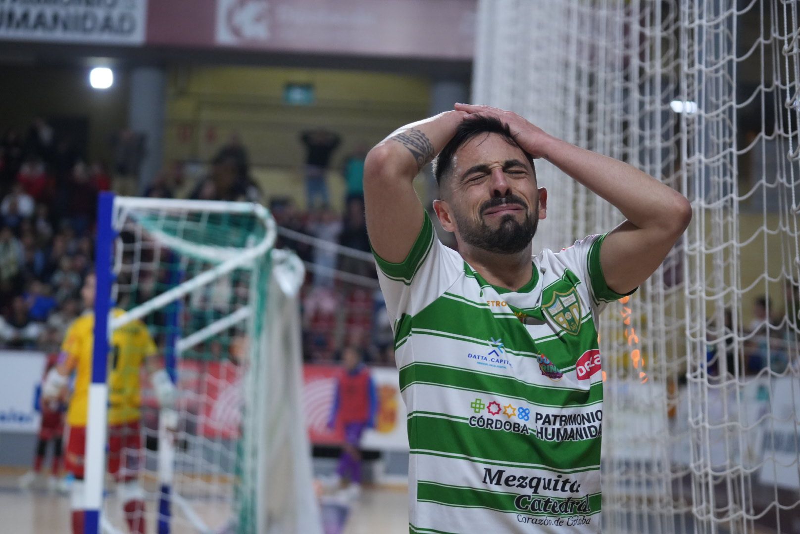 Las imágenes del Córdoba Futsal contra el Palma en Vista Alegre