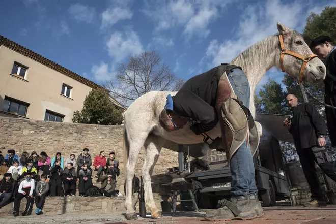 Balsareny fa dels Traginers una experiència didàctica