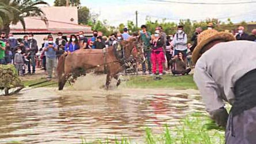 Una celebració al delta de l’Ebre.