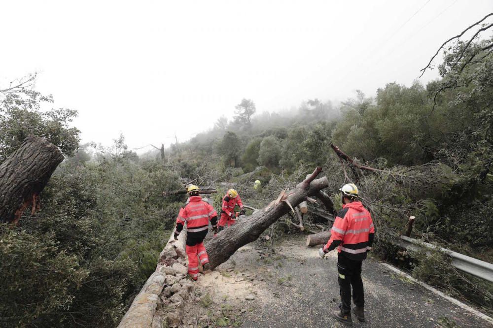 Carretera cortada en Valldemossa.