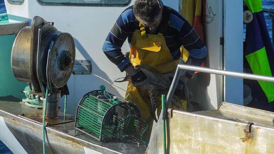 La TVG visita hoy Mugardos para conocer todos los secretos del pulpo