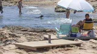 Costas ordena desmantelar las instalaciones de la playa canina de Torrevieja por carecer de autorización