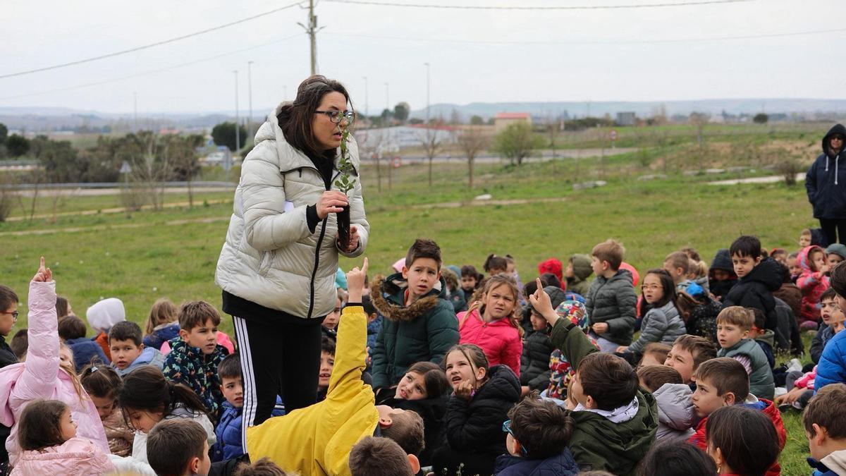 Nueva vida para la pradera del Cristo de Morales por el Día del Árbol
