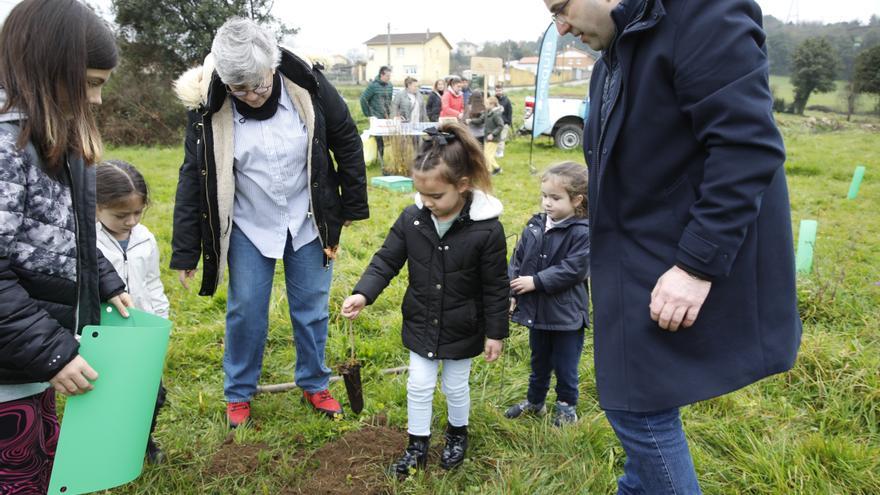 Plantación de árboles para compensar la huella de carbono del festival aéreo de Gijón