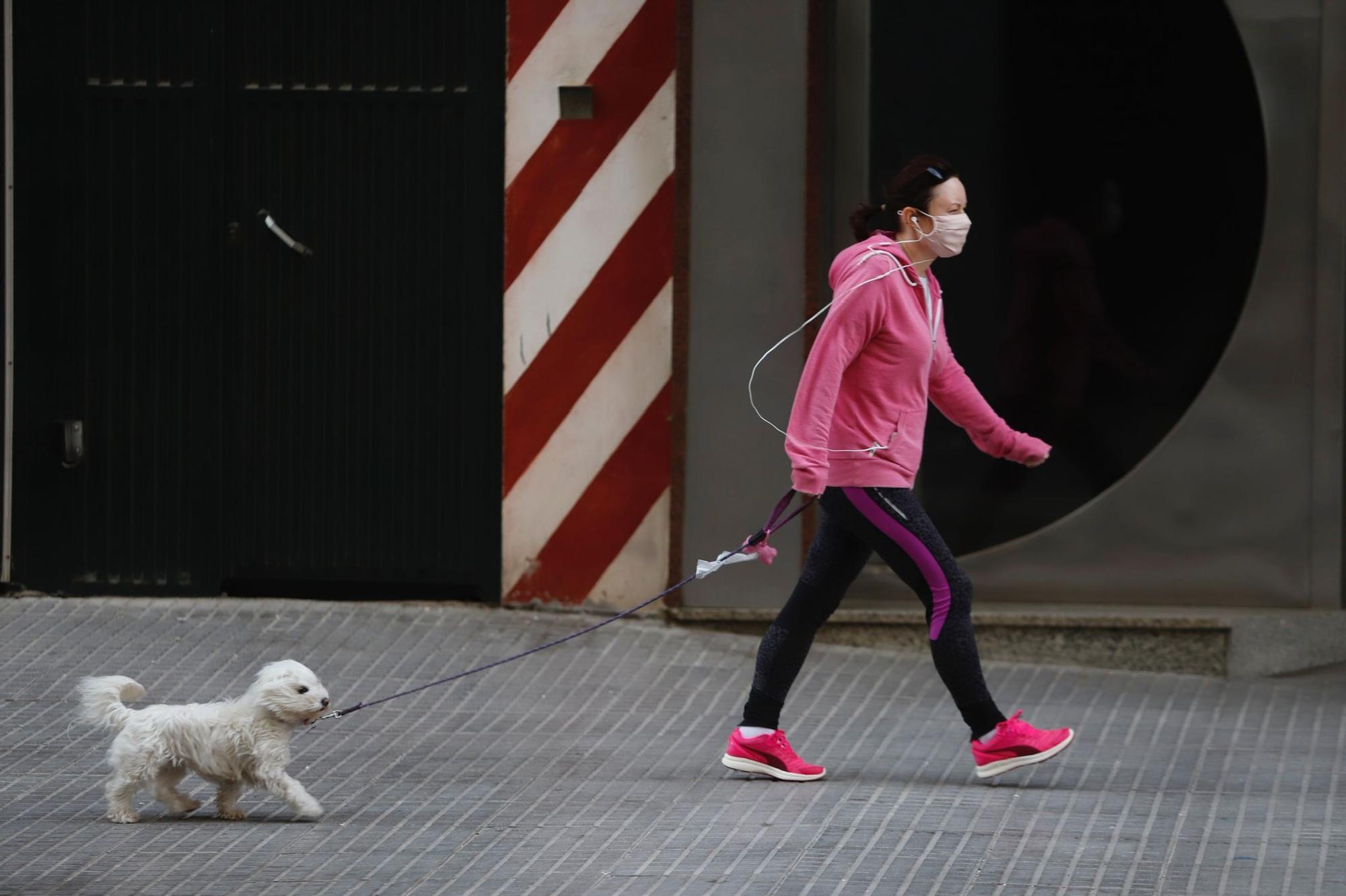 Temporal de viento y olas en la provincia de Málaga