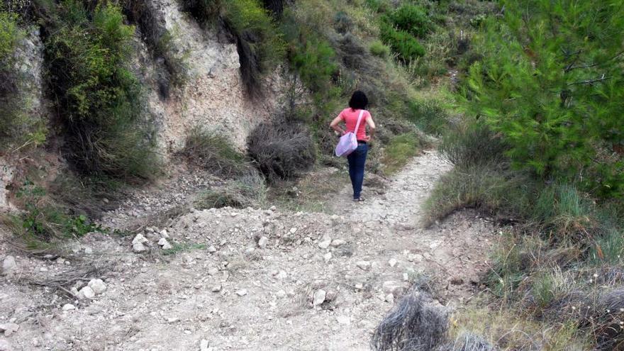 Uno de los barrancos afectados por la urbanización de Serelles