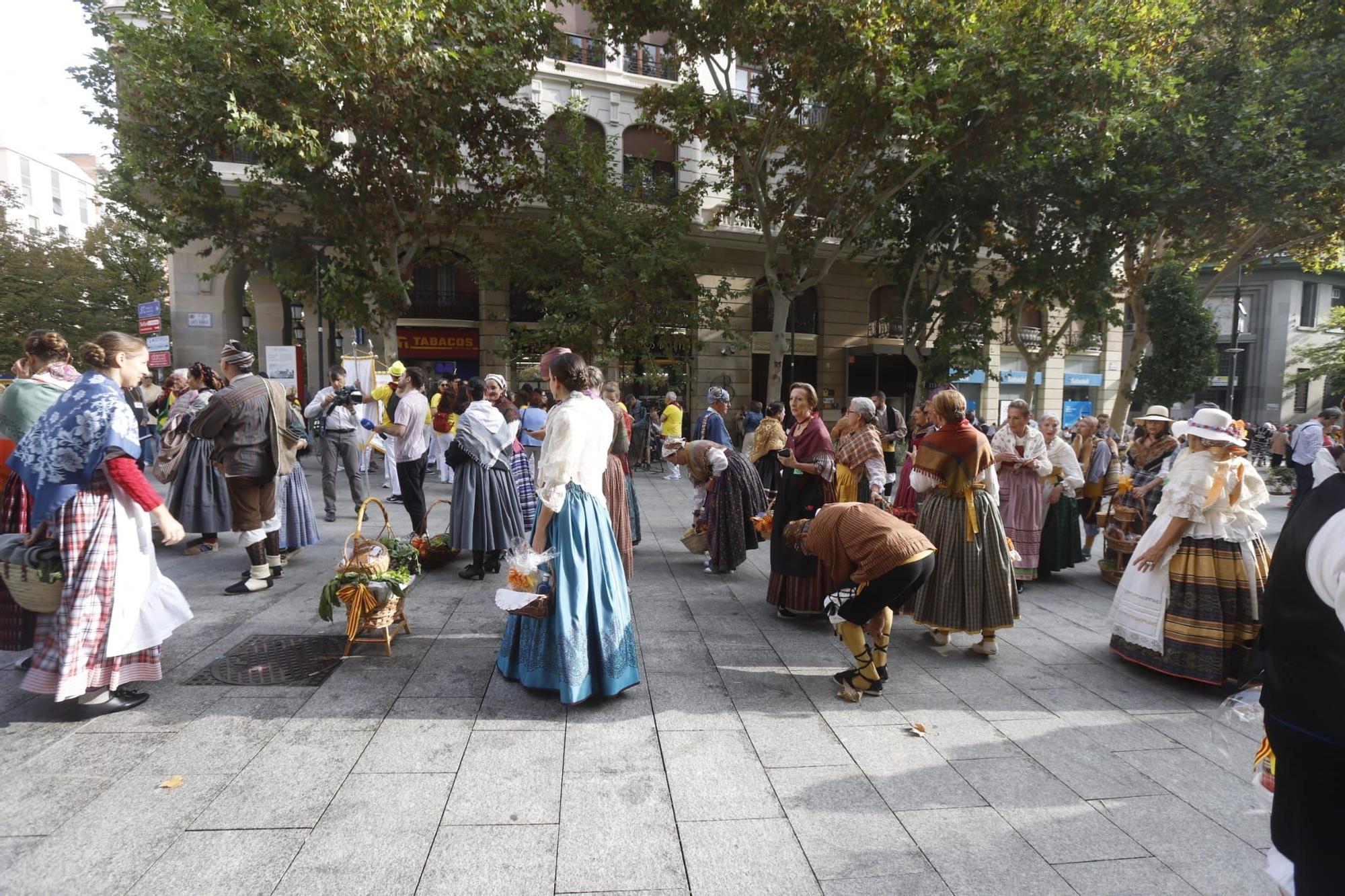 Búscate en la Ofrenda de Frutos 2023 en Zaragoza