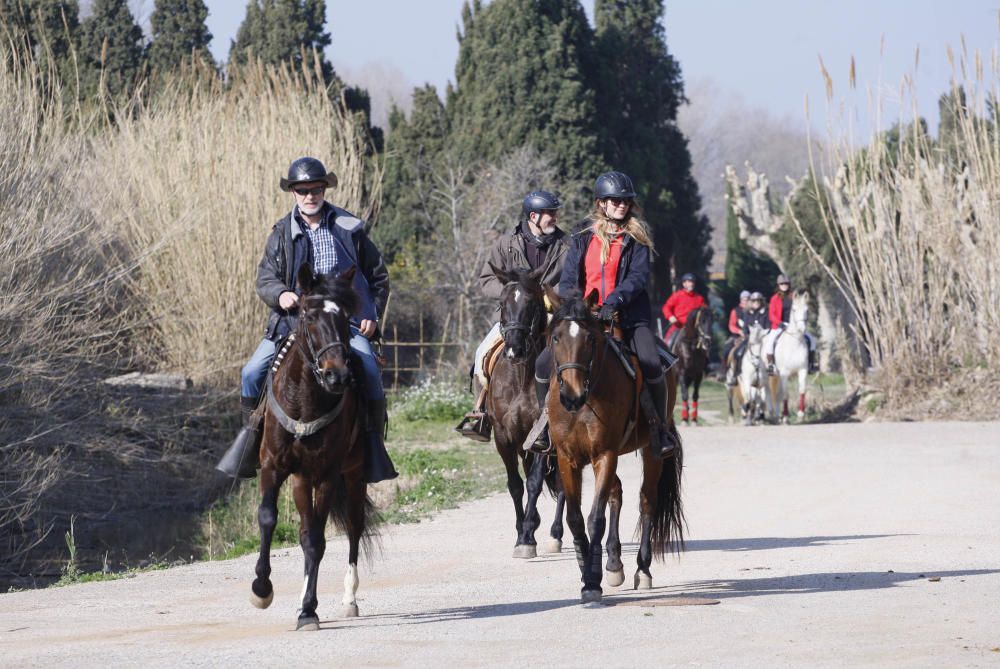 Festa de Sant Antoni Abat a Torroella de Montgrí