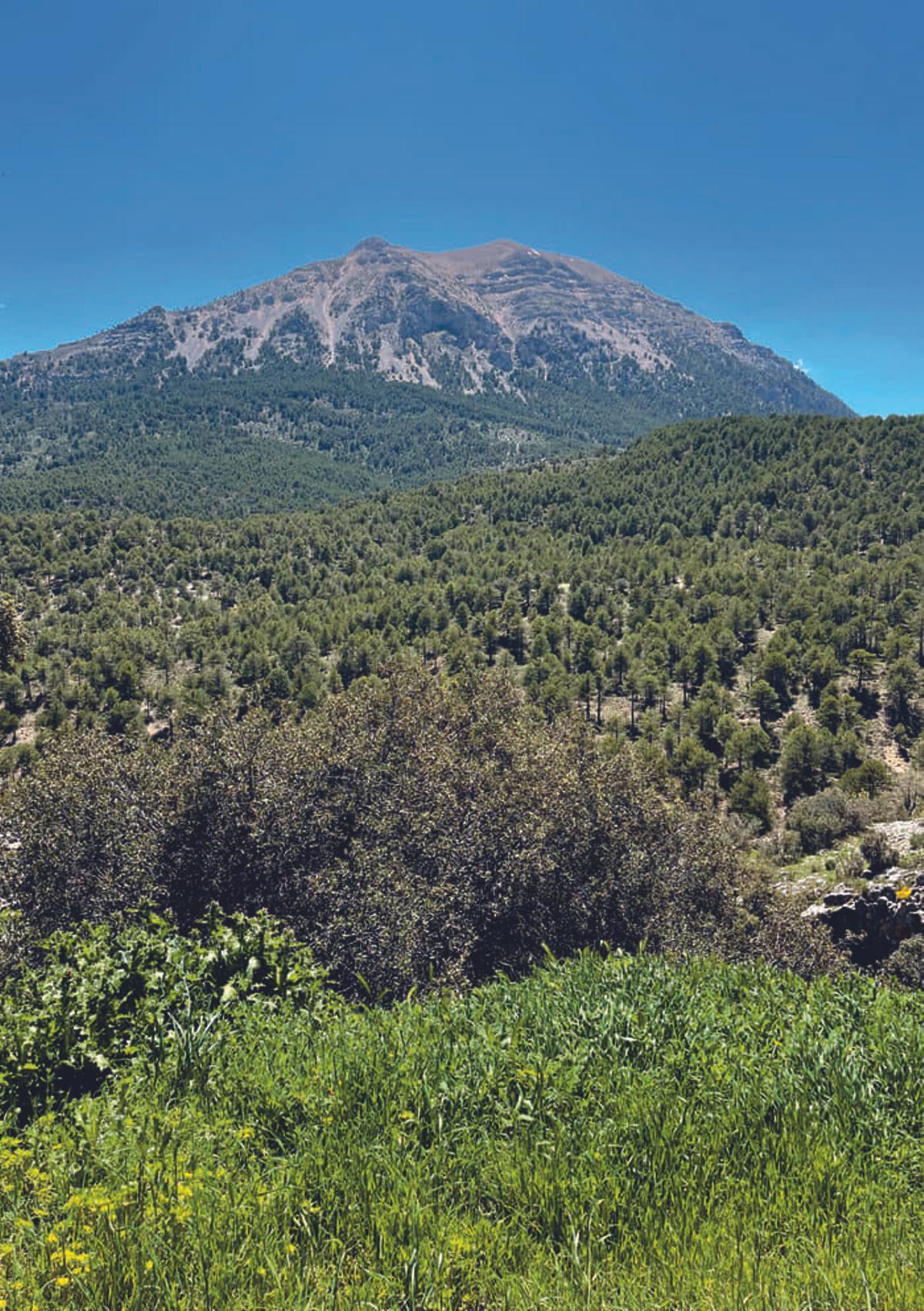 El pueblo de Granada repleto de naturaleza y gastronomía perfecto para una visita desde Málaga