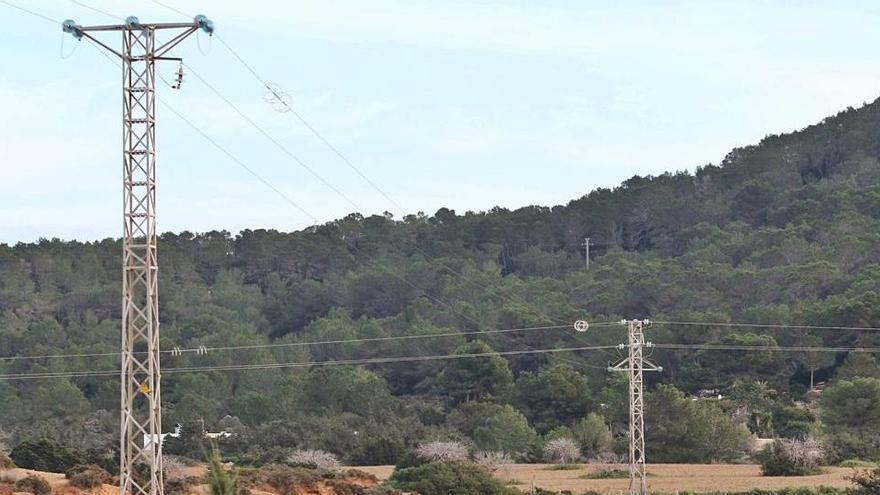 El Consell llevaba diez años tramitando la retirada de estos y otros tendidos en el Parque Natural.