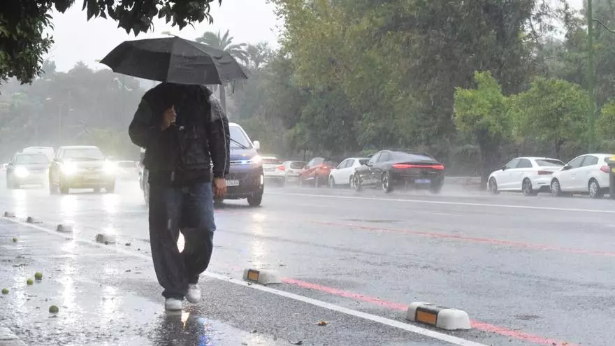 Temporal en la Universidad de Loyola de Sevilla.