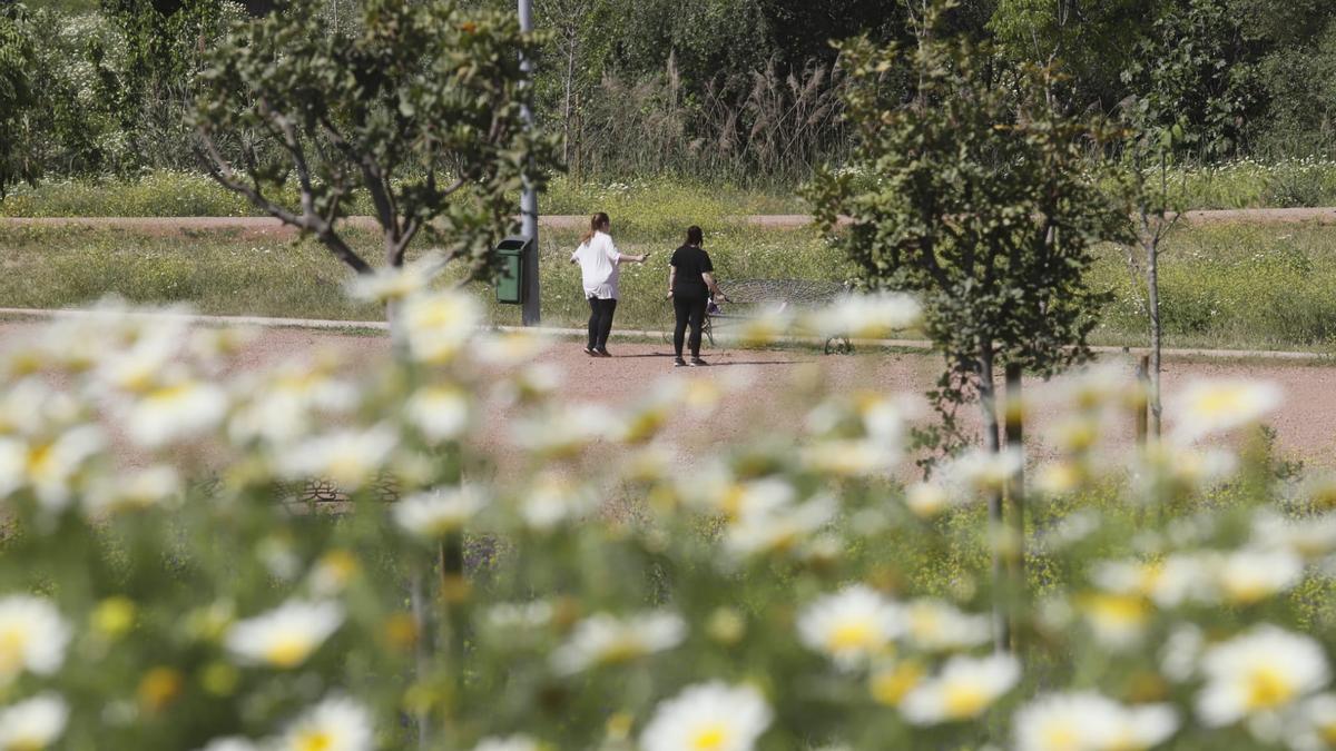 Cordobeses en el Parque de Levante.