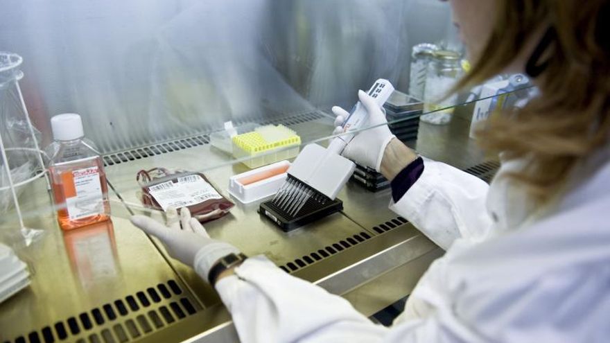 Trabajo de identificación de moléculas en laboratorio. | // FDV