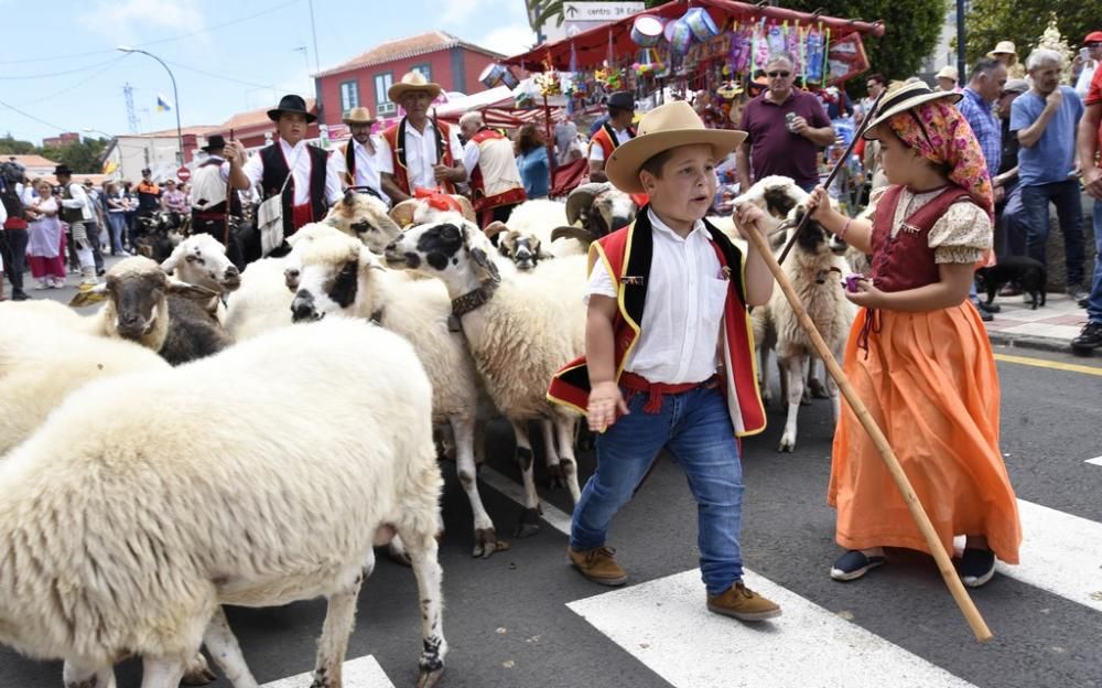 Romería en La Esperanza (El Rosario) 2019