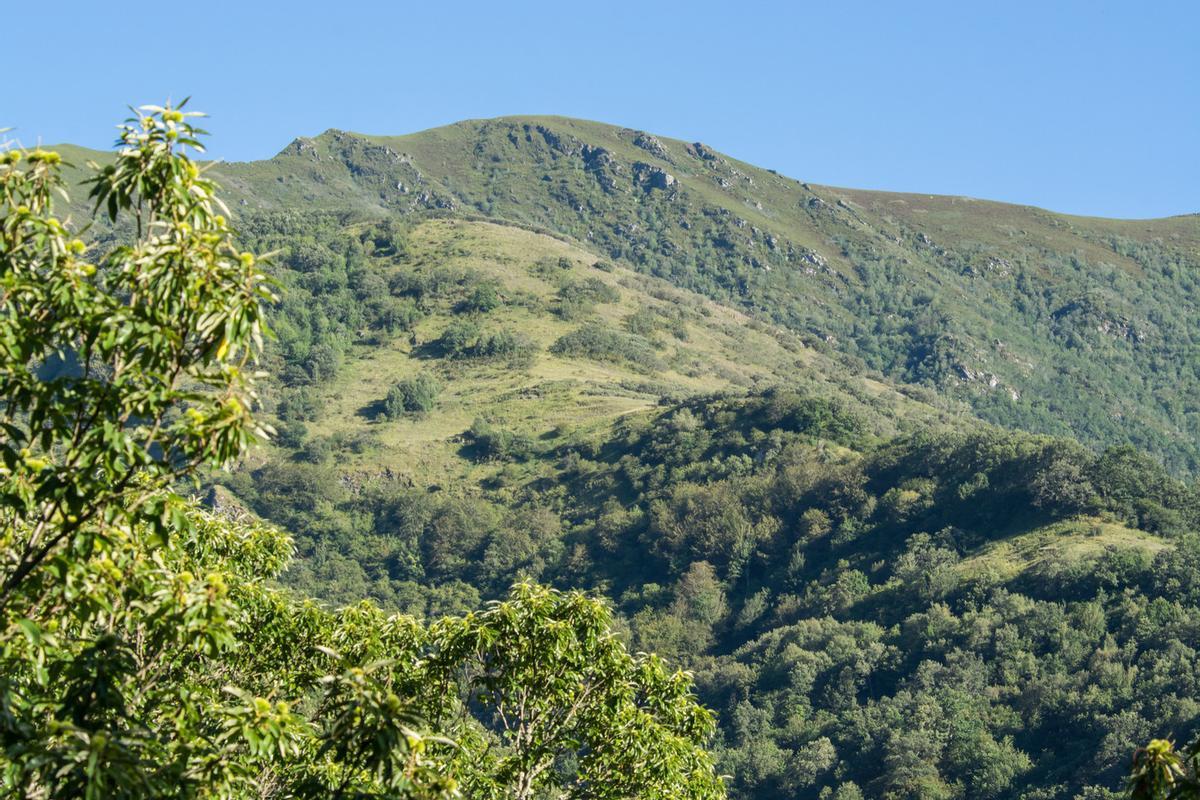Vista desde la Devesa da Rogueira.