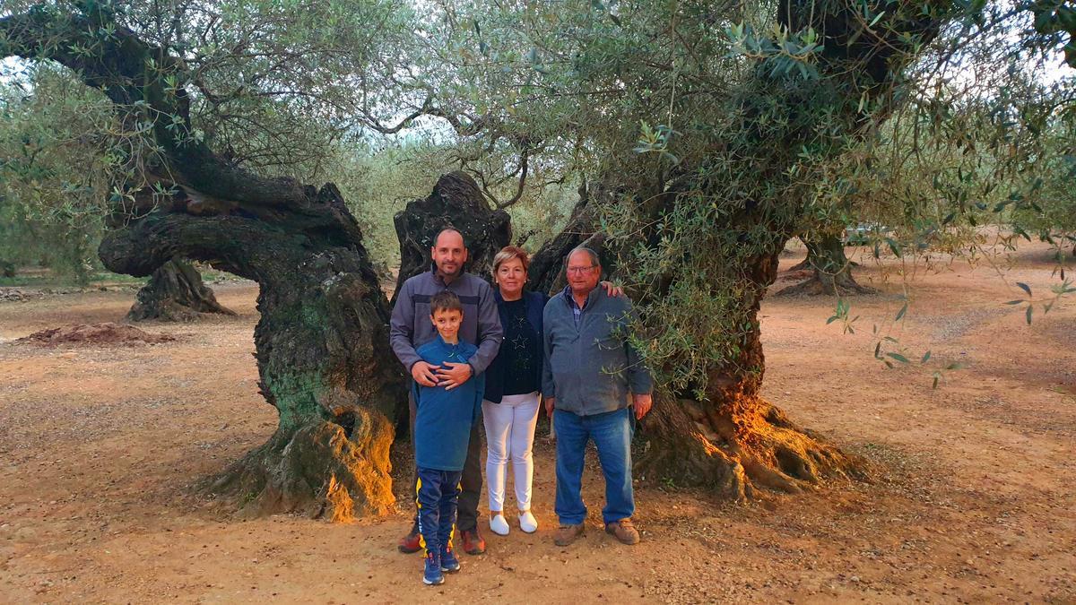 El cuidador de la olivera Sinfo, con su familia, en Traiguera.