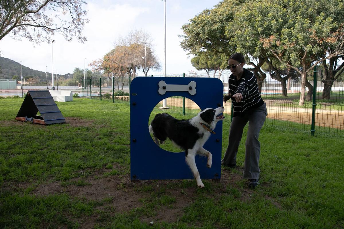 Un perro juega con su dueño Sanidad en el nuevo parque canino de Cartagena