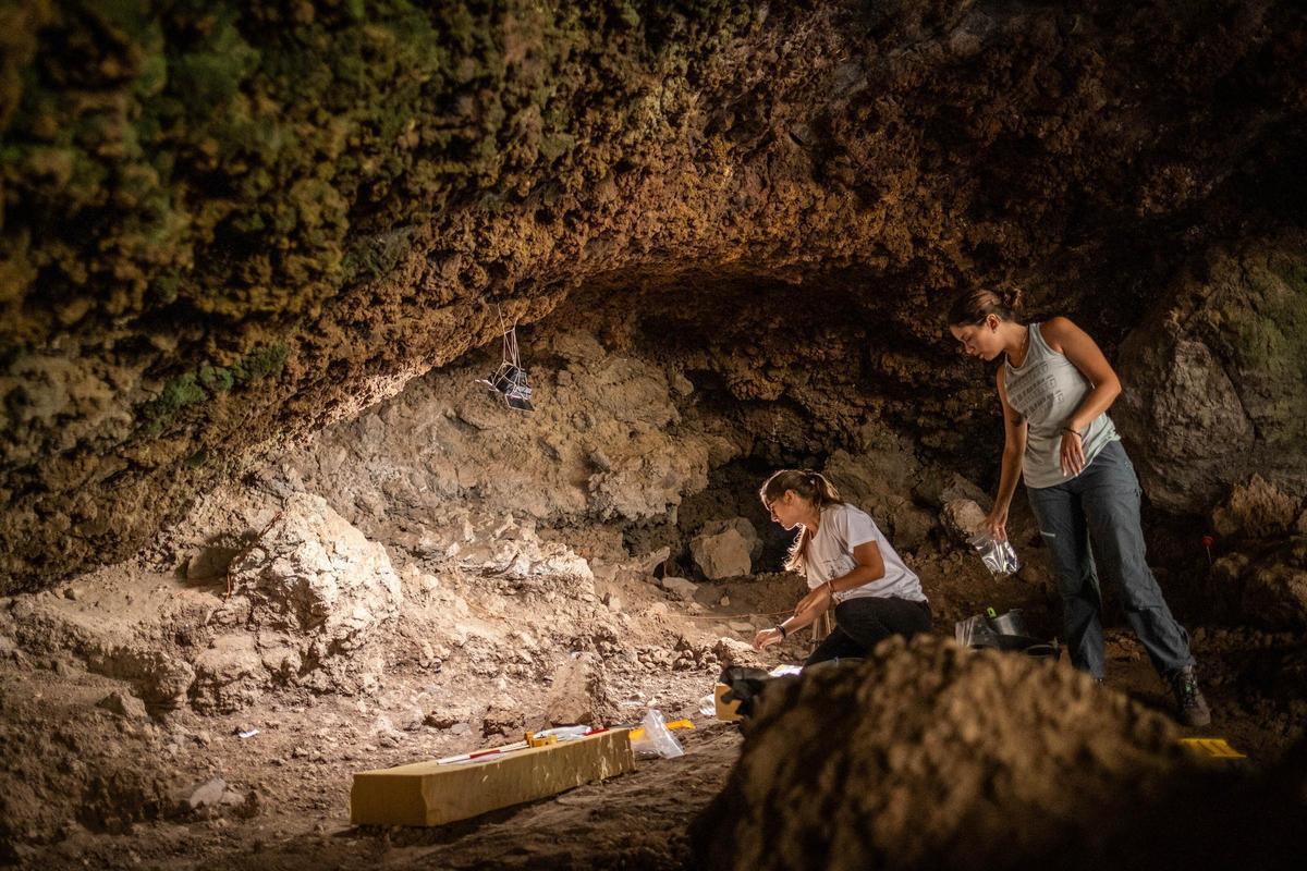Investigación arqueológica en la Cueva de los Cabezazos, una zona arqueológica con restos de los guanches situada en Tegueste, Tenerife.