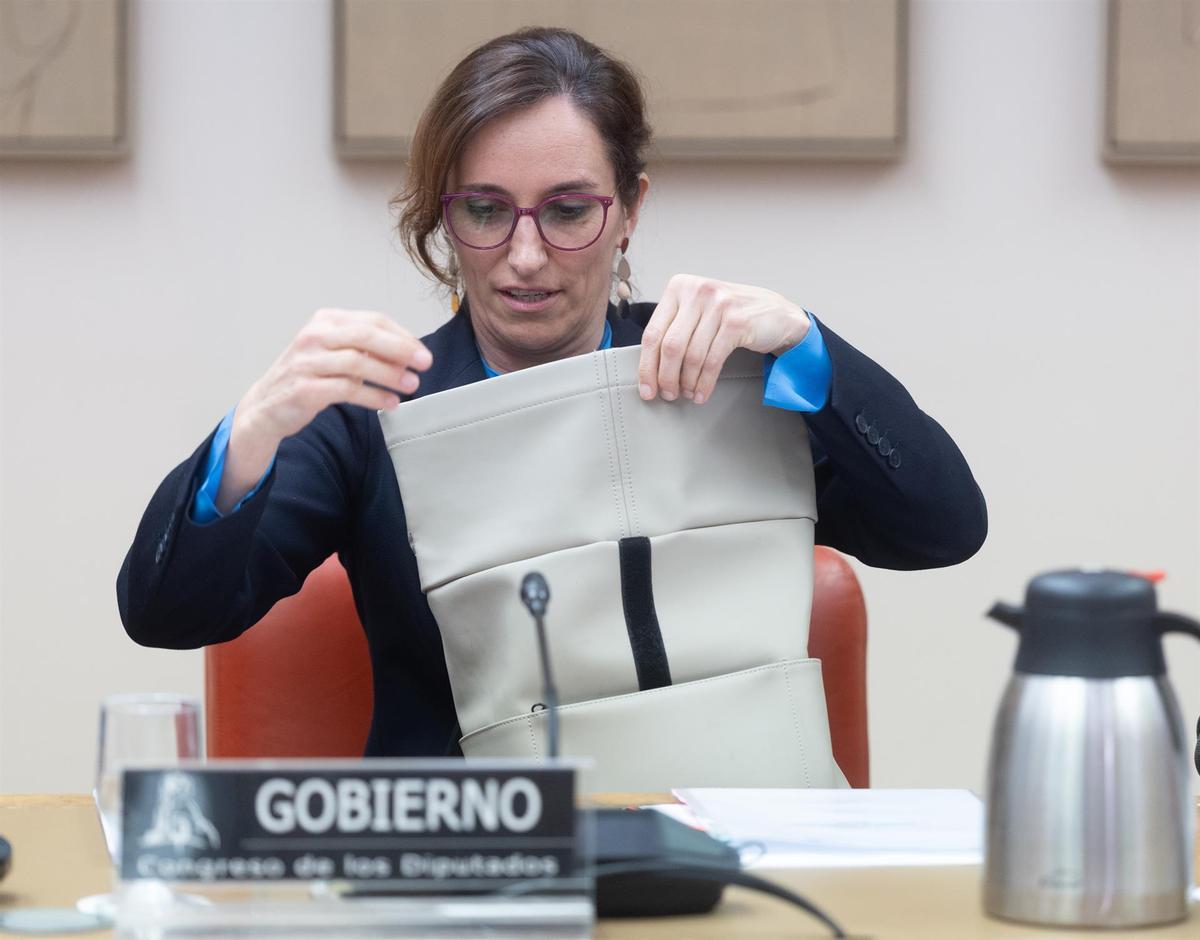 La ministra de Sanidad en el Congreso