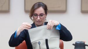 La ministra de Sanidad en el Congreso