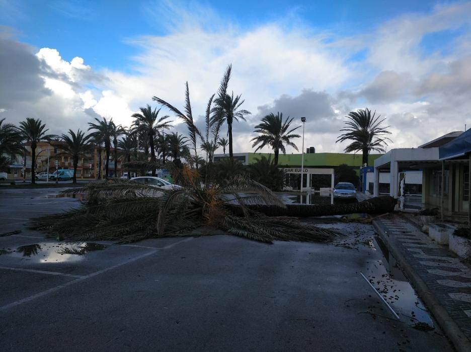 La borrasca Gloria se ceba con Cabo de Palos