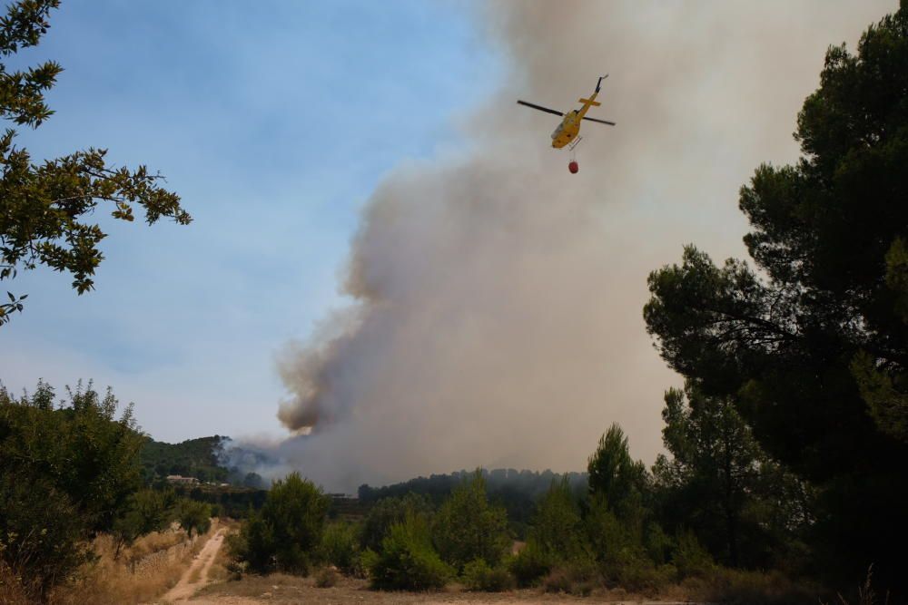 El fuego se ha originado al mediodía en la pedanía de La Romaneta y amenaza con extenderse por el monte y afectar a varias casas de campo.