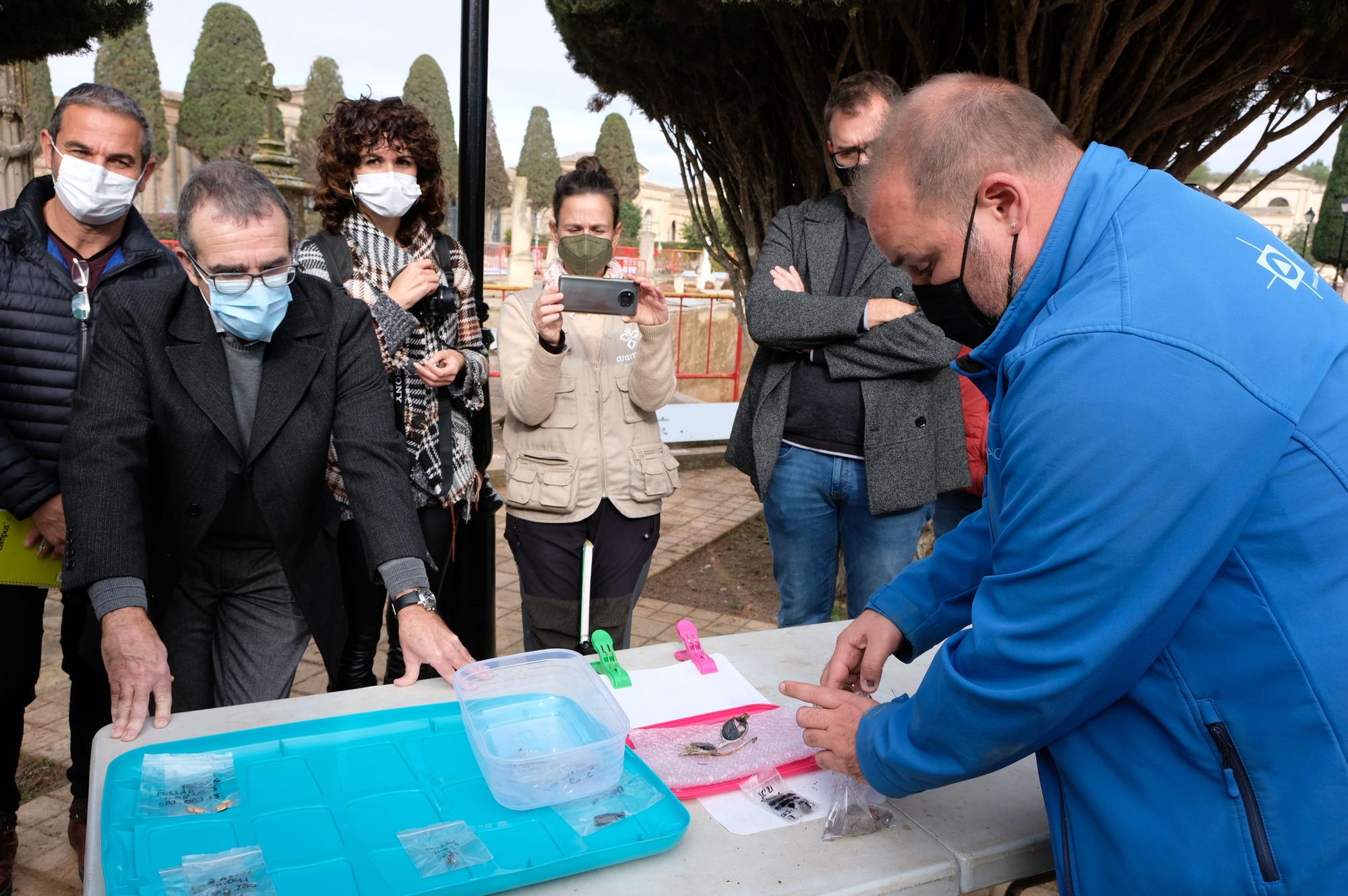 Son Coletes recupera los restos de 54 víctimas  en siete fosas