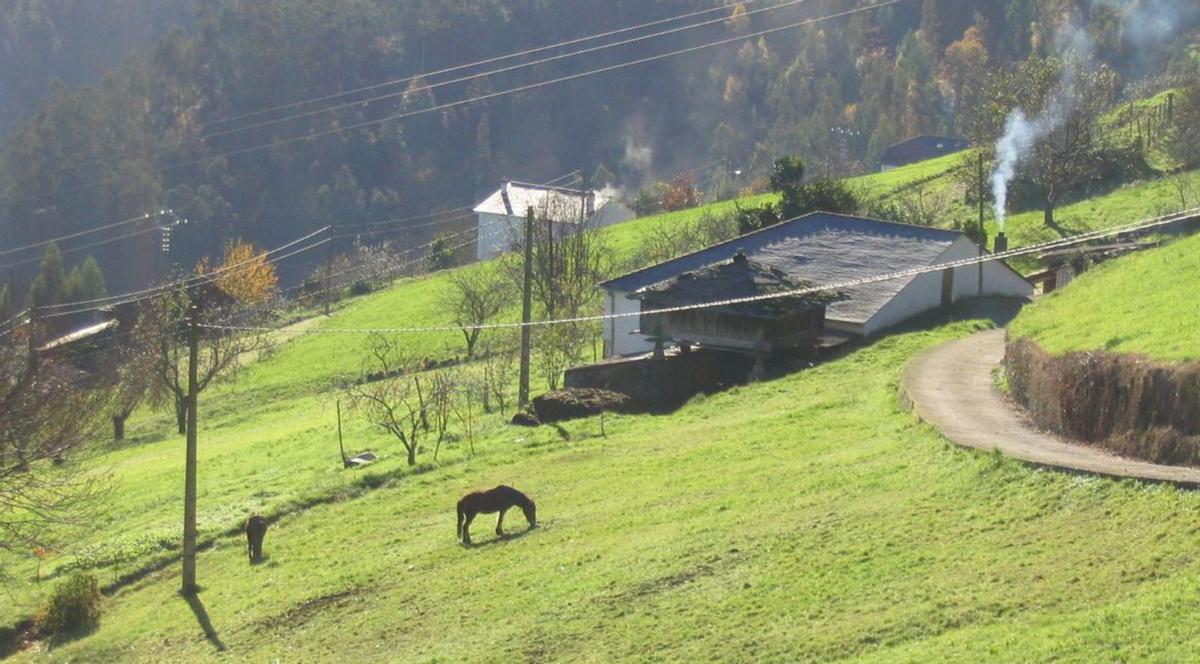 A la izquierda, paisaje en Boal. A la derecha, Villanueva de Oscos. |  | LNE