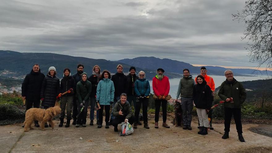 Participantes en la eliminación de eucalipto y acacia negra en el monte Cambeiro.