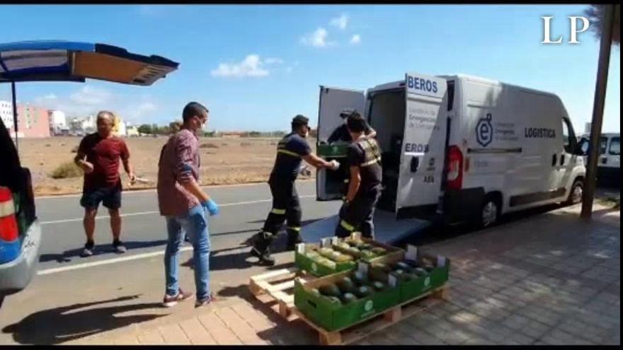 Coronavirus en Canarias | Melones solidarios en Gran Canaria