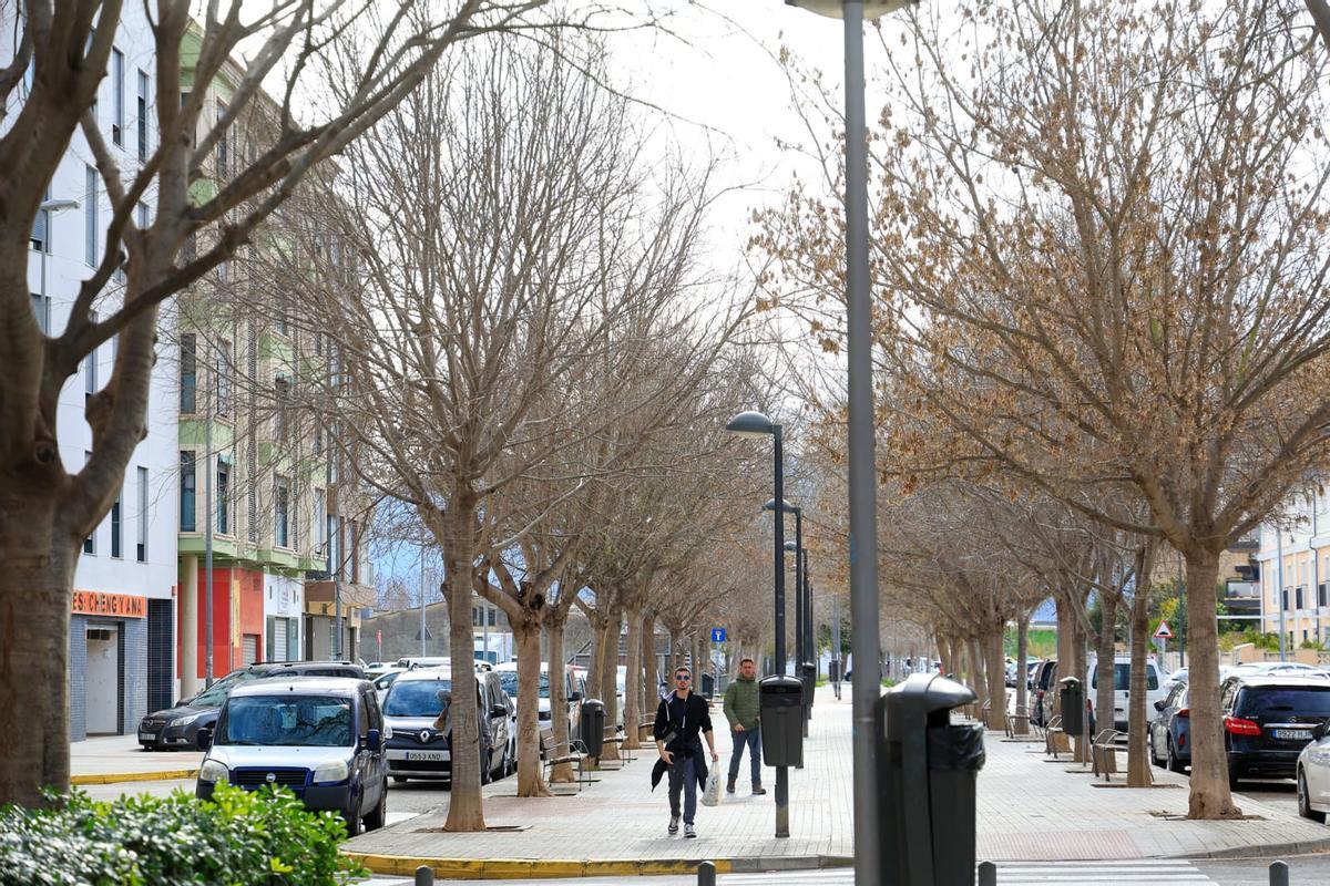 Avenida de Sueca en la que se produjeron los hechos el pasado sábado.