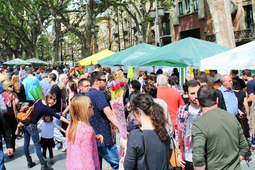 Sant Jordi 2016