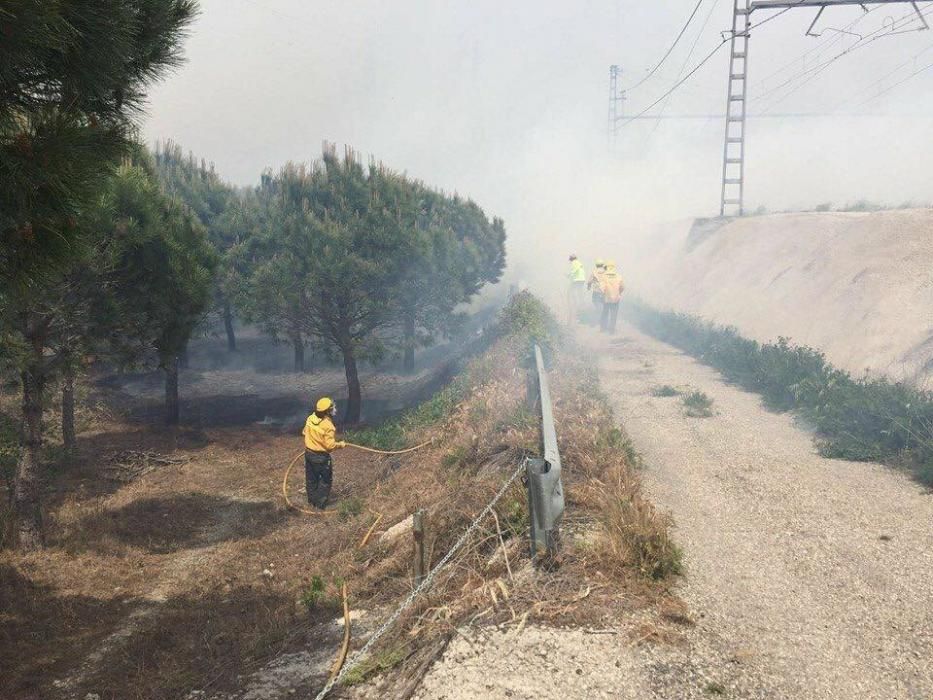 Incendi forestal a Llançà