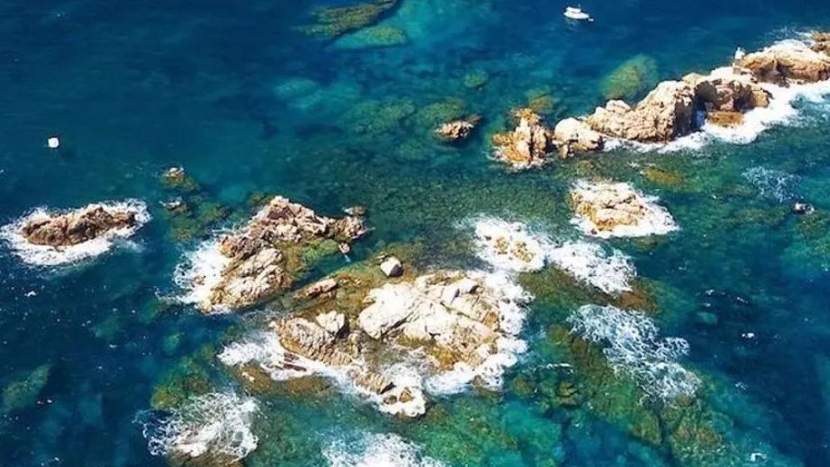 Les Illes Formigues, en una imatge d'arxiu.
